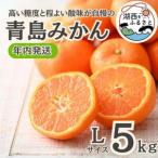 ふるさと納税 【年内発送】【12月中旬より順次出荷予定】青島みかん約5kg Lサイズ〔鈴木農園〕【1510097】 静岡県湖西市