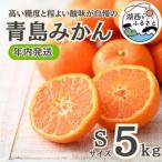 ふるさと納税 【年内発送】【12月中旬より順次出荷予定】青島みかん約5kg Sサイズ〔鈴木農園〕【1510100】 静岡県湖西市