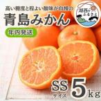 ふるさと納税 【年内発送】【12月より順次出荷予定】青島みかん約5kg SSサイズ〔鈴木農園〕【1510102】 静岡県湖西市