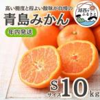 ふるさと納税 【年内発送】【12月中旬より順次出荷予定】青島みかん約10kg Sサイズ〔鈴木農園〕【1510118】 静岡県湖西市