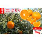 訳あり せとか 約3kg