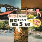 貸切キャンプ 八丁やまめつかみ取り ペガススの家