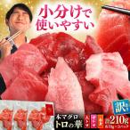 訳あり 対馬産 本マグロ 切り落とし 210g