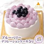 ブルーベリーデコレーションケーキ5号_菓子