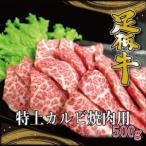 かながわブランド 特上カルビ焼肉用500g_肉