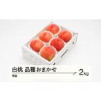 ふるさと納税 《先行予約》2025年 山形県産 もも 白桃 秀品 品種おまかせ 化粧箱入り 約2kg 令和7年産 ns-mohtx2 山形県山辺町