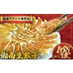 ふるさと納税 湘南生餃子 168個 国産ブランド豚 餃子 餃子餃子餃子餃子餃子餃子 神奈川県藤沢市