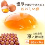 卵 赤たまご 480個