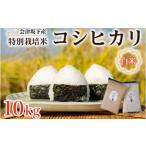 51-C 特別栽培米コシヒカリ 10kg