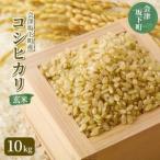 21-K コシヒカリ10kg 令和7年産米