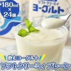11-E 会津の雪 飲むヨーグルト ソフトクリーミィ