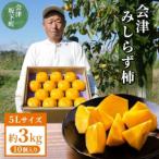 23-C 柿 会津みしらず柿 5Lサイズ 10個入り