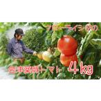 15-K 会津薬師トマト 4kg