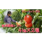 15-L 会津薬師トマト 4kg×2箱