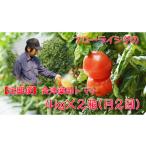 15-M 会津薬師トマト 4kg×2箱