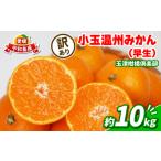 ふるさと納税 みかん 訳あり 小玉 温州みかん 早生 10kg 玉津柑橘倶楽部 訳あり B010-072030 愛媛県宇和島市