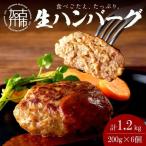 自家製生ハンバーグ200g×6個