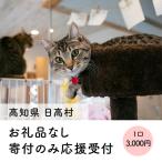保護猫支援 里親募集型保護猫カフェ 寄付