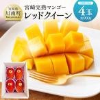 完熟マンゴー レッドクイーン 4玉