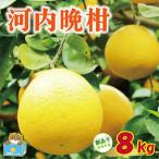 訳あり 河内晩柑 8kg