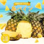 島パイン ハワイ種 約3kg