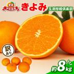 訳あり きよみ 8kg