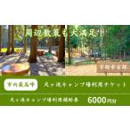 犬ヶ迫キャンプ場 1 500円分補助券 BTDR001キャンプ