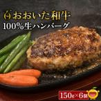 ハンバーグ おおいた 和牛100% 生ハンバーグ 150g×6個