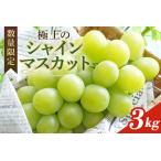 ふるさと納税 <2025年 先行予約> シャインマスカット 数量限定 3kg 農園直送 期間限定 果物 フルーツ ブドウ 葡萄 ぶどう 8月下旬以降発送 .. 茨城県小美玉市