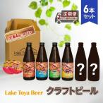 飲み比べセット クラフトビール 定番4種+ 2本