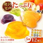 ゼリー カップゼリー詰め合わせ 5種12個
