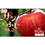 ふるさと納税 りんごの王様「サンふじ」 約5kg (10〜18玉) 長野県千曲市