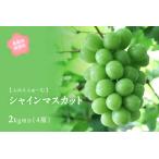 ふるさと納税 シャインマスカット 約2kg　9月中旬〜出荷予定＜2026年収穫分・数量限定＞【先行予約】 鳥取県南部町