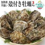 牡蠣 訳あり 加熱用 殻付き牡蠣3kg