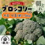 市場の目利き ブロッコリー 大玉4玉