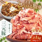 切り落とし 1kg