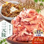 切り落とし 1kg