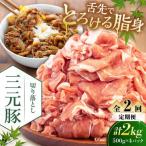 切り落とし 2kg
