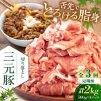 切り落とし 2kg