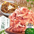 切り落とし 2kg
