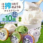 カップ アイス セット 10個