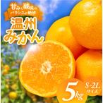 SN-02 みかん S~2Lサイズ 5kg