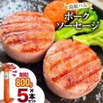 BI065 総重量4kgの特大 島原ハム