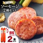 BI066 特大 ソーセージ 2種2本 食べ比べ