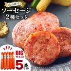 BI067 特大 ソーセージ 2種5本 食べ比べ