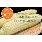 �ӂ邳�Ɣ[�� �y2026�N�Ă̗\���t�J�n�I�z���є_���̔����ĊÂ��Ƃ����낱���w���Â����z���C�g�i�݂��񂿂��ق킢�Ɓj�x8�`9�{����i4kg.. ���쌧�M�Z��