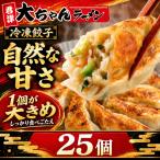 自家製 冷凍餃子 5人前