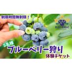 fu.... налог голубика .. билет 5 имя Chiba префектура .. город ..... налог голубика фрукты .. фрукты фрукты .. фрукты билет bru.. Chiba префектура .. город 