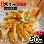 自家製 冷凍餃子 10人前