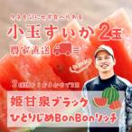 fu.... налог арбуз чёрная кожа маленький шар арбуз .. Izumi черный .....BonBon Ricci 1 коробка 2 шар Ibaraki префектура . тысяч плата блок 
